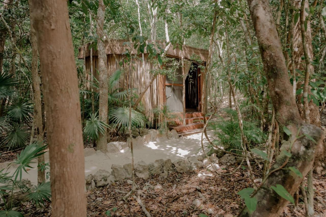 Naum - Secluded Villa With Private Cenote Tulum Exteriér fotografie