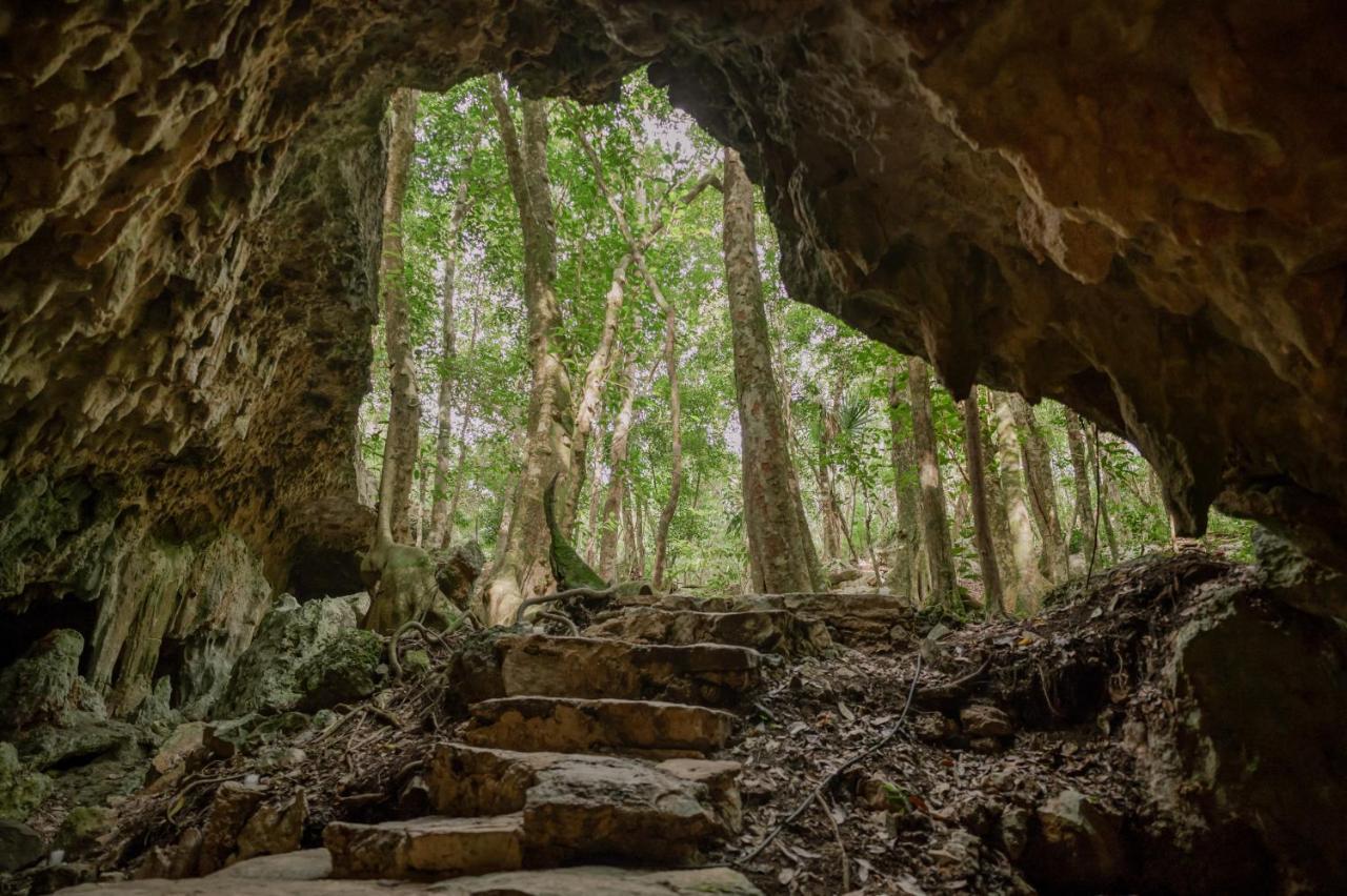 Naum - Secluded Villa With Private Cenote Tulum Exteriér fotografie