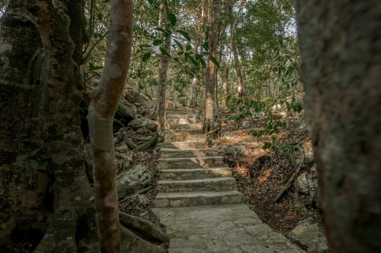 Naum - Secluded Villa With Private Cenote Tulum Exteriér fotografie
