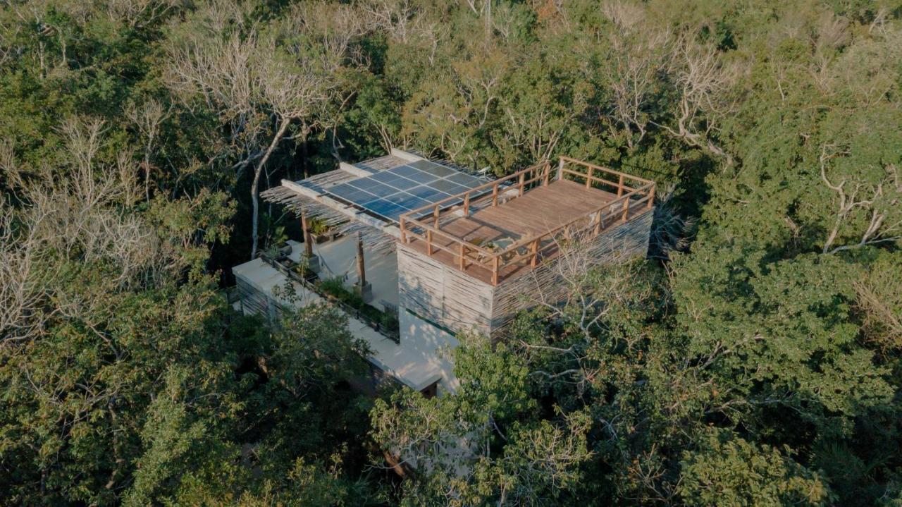 Naum - Secluded Villa With Private Cenote Tulum Exteriér fotografie