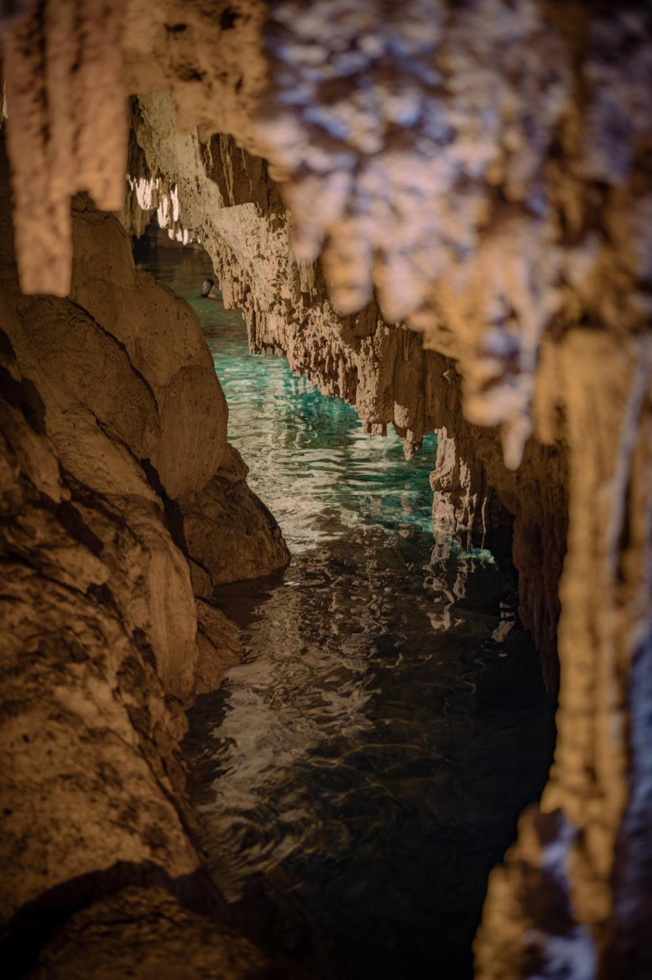 Naum - Secluded Villa With Private Cenote Tulum Exteriér fotografie
