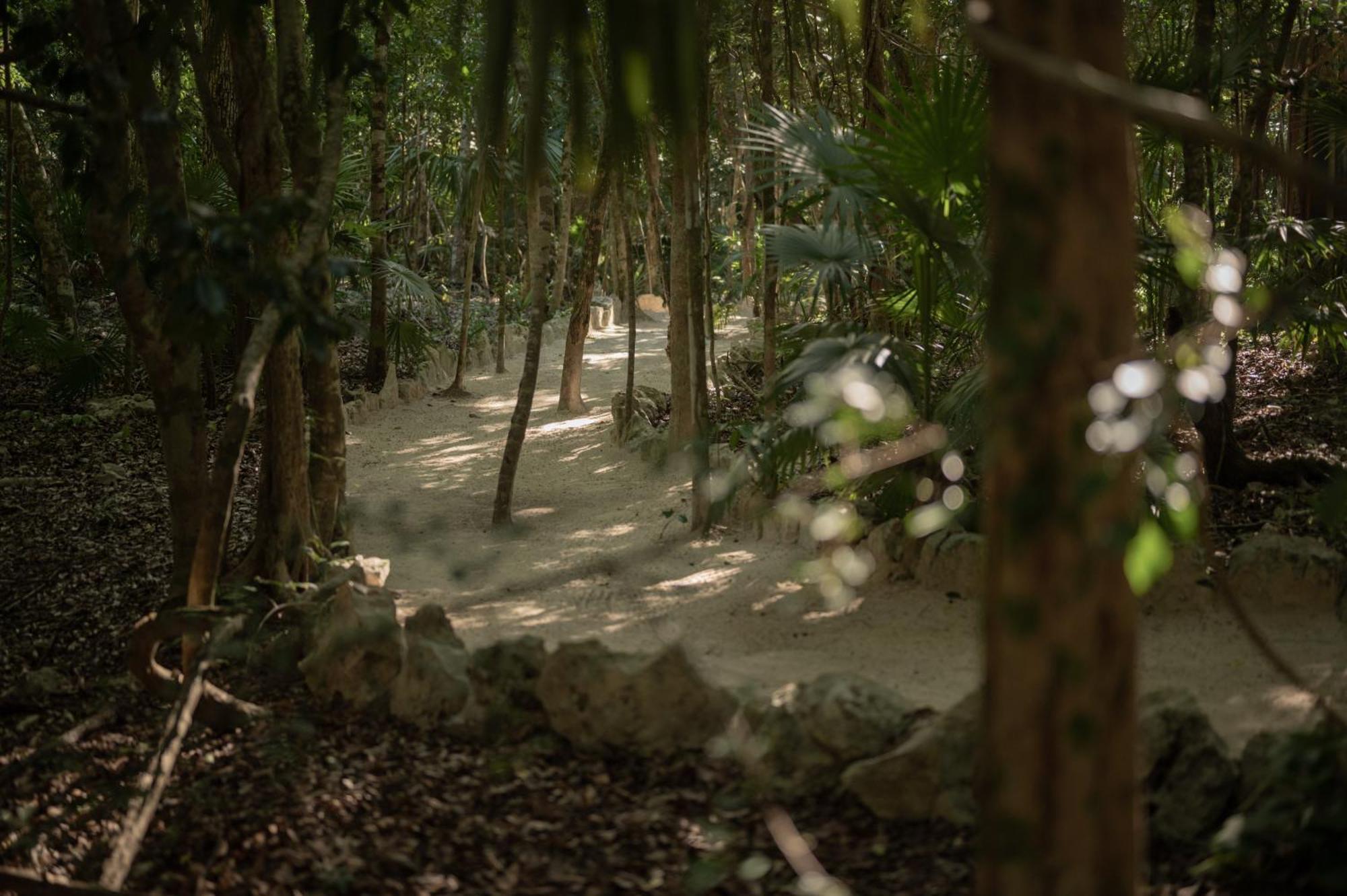 Naum - Secluded Villa With Private Cenote Tulum Exteriér fotografie