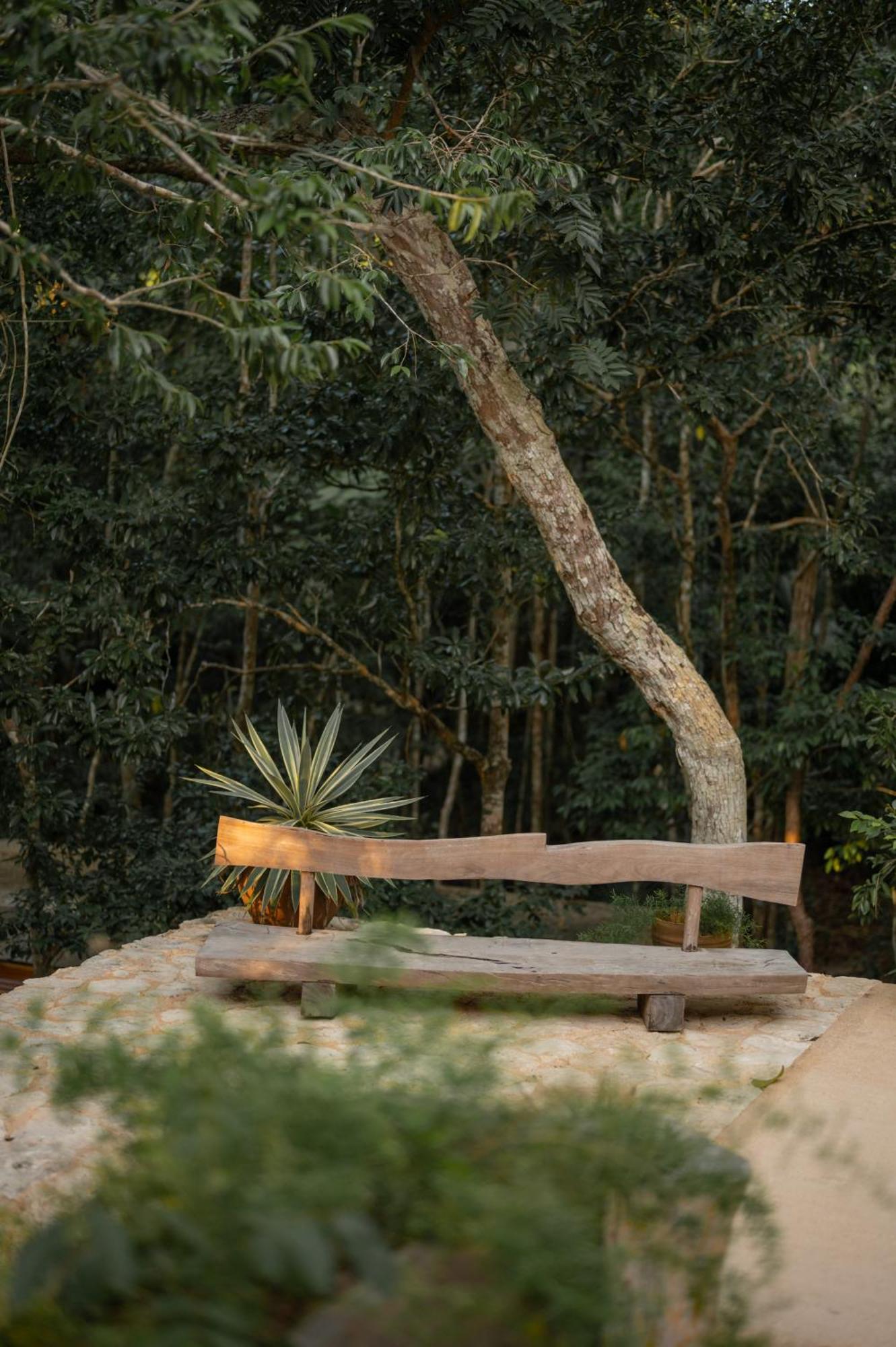 Naum - Secluded Villa With Private Cenote Tulum Exteriér fotografie